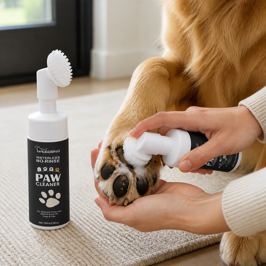Paw cleaning foam